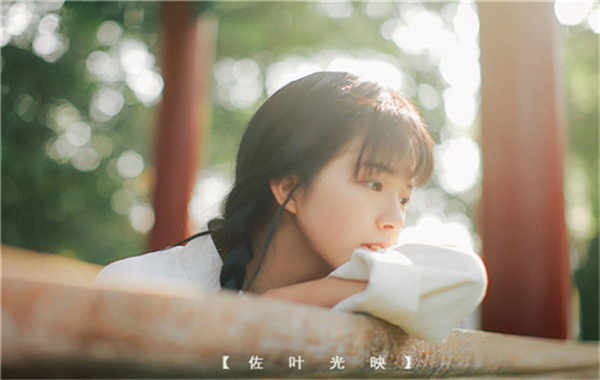 新干胎儿性别鉴定需要多少钱(胎儿性别鉴定的方法)